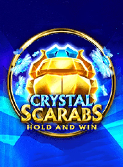 Cricket betting game cover